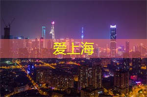 我不懂她的心