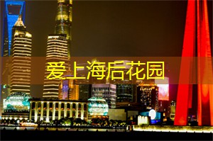 探索上海街头的美食摊位
